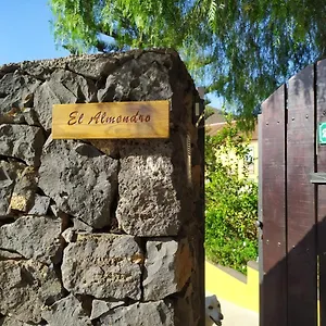 El Almendro , Tegueste Espagne